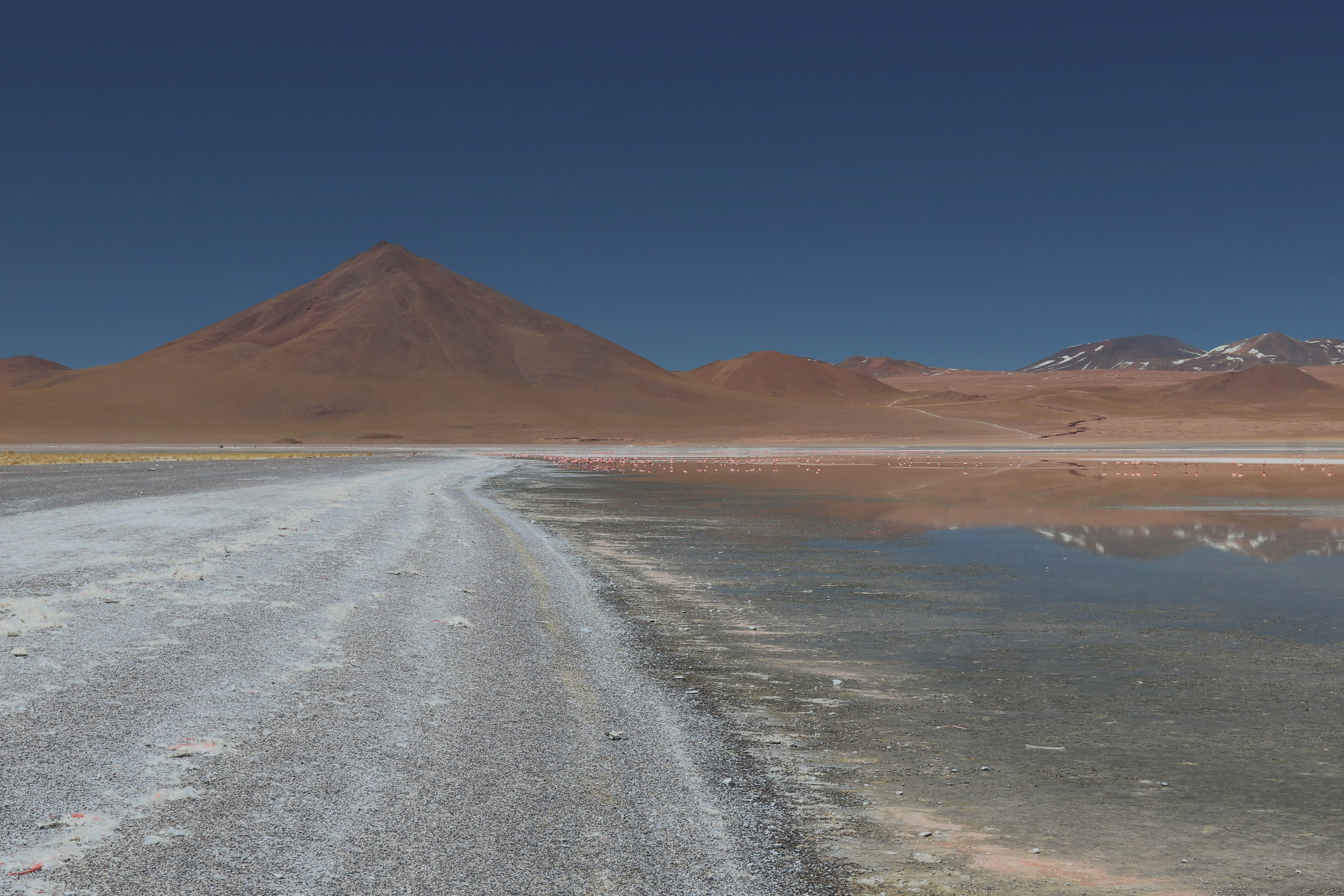 "ShyFlamingos of the Solar"&nbsp;Solar de Uyuni, Bolivia